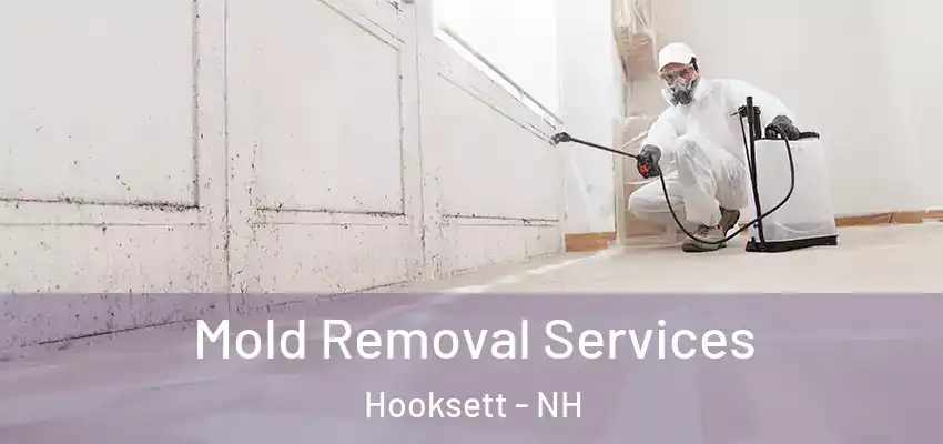Mold Removal Services Hooksett - NH