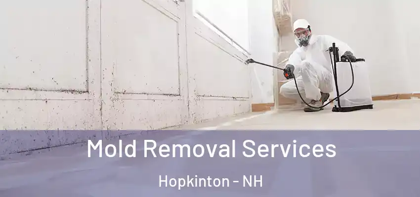  Mold Removal Services Hopkinton - NH
