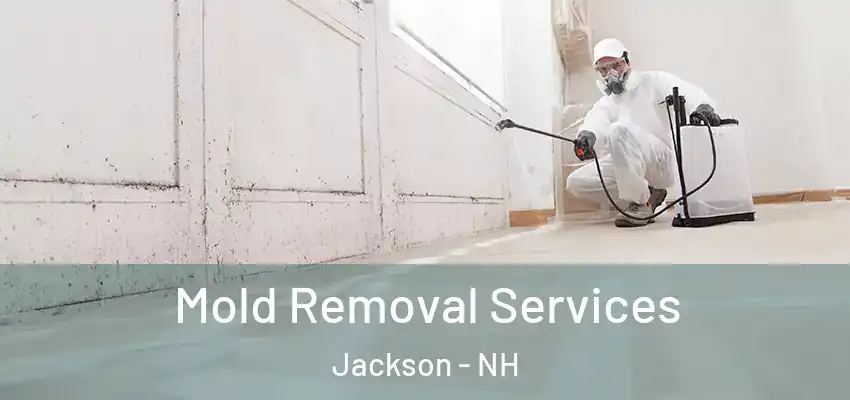  Mold Removal Services Jackson - NH