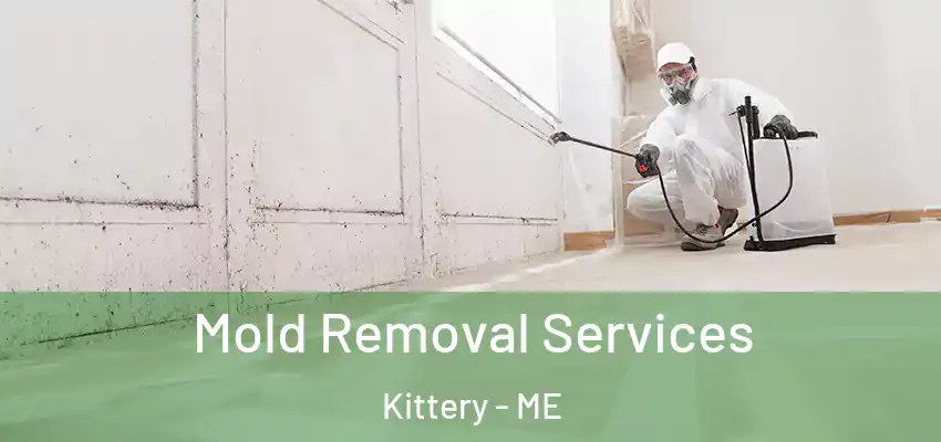  Mold Removal Services Kittery - ME