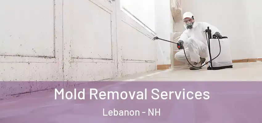  Mold Removal Services Lebanon - NH