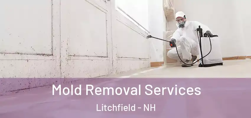 Mold Removal Services Litchfield - NH