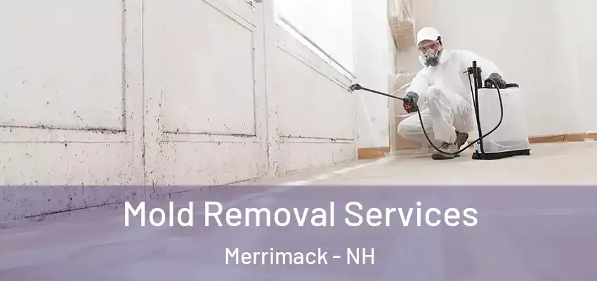  Mold Removal Services Merrimack - NH