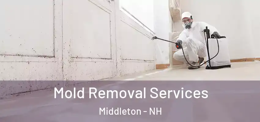 Mold Removal Services Middleton - NH