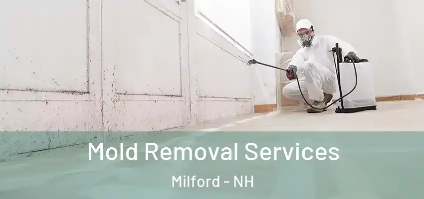  Mold Removal Services Milford - NH