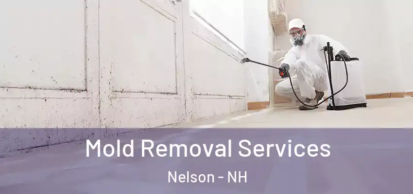  Mold Removal Services Nelson - NH