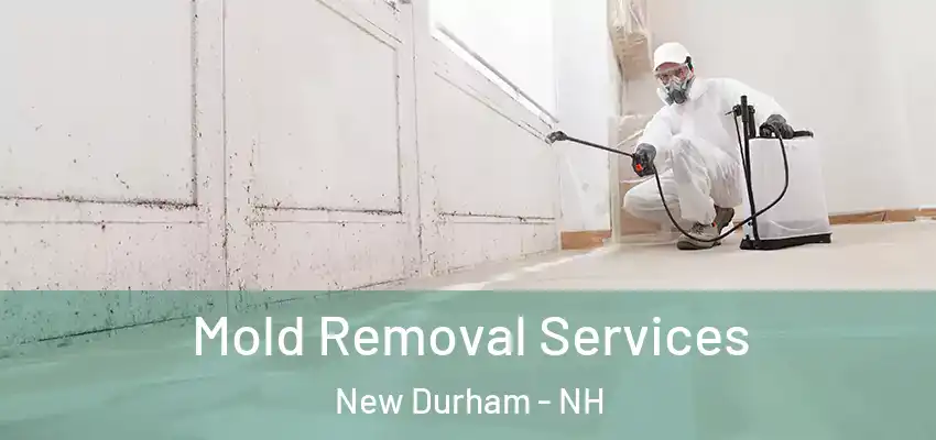  Mold Removal Services New Durham - NH