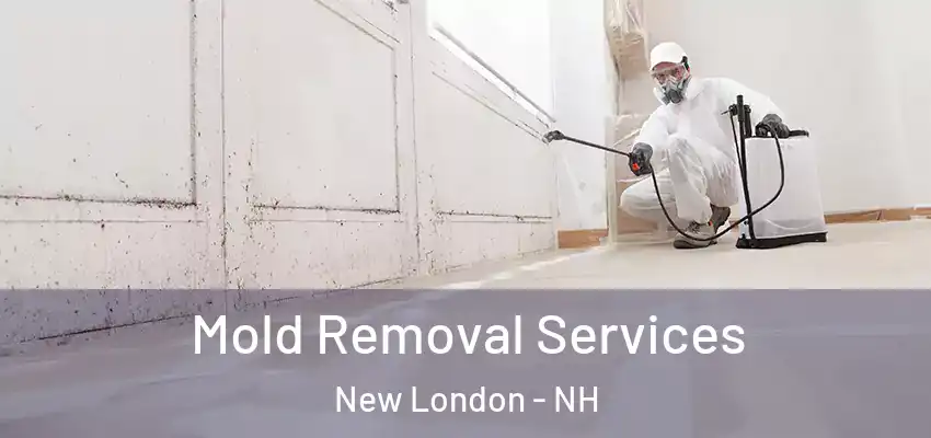  Mold Removal Services New London - NH