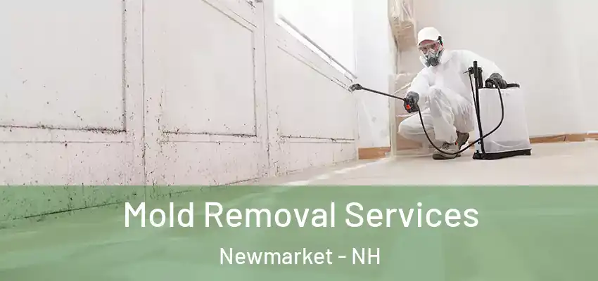  Mold Removal Services Newmarket - NH