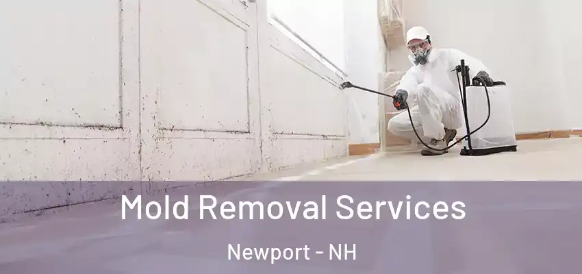  Mold Removal Services Newport - NH
