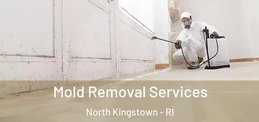  Mold Removal Services North Kingstown - RI
