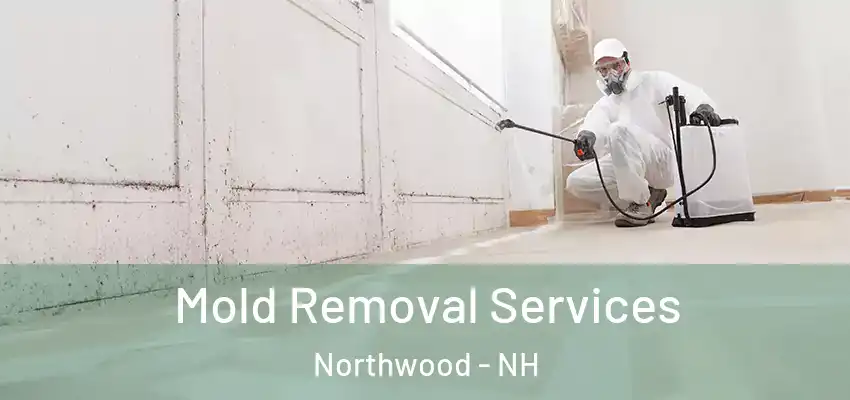  Mold Removal Services Northwood - NH