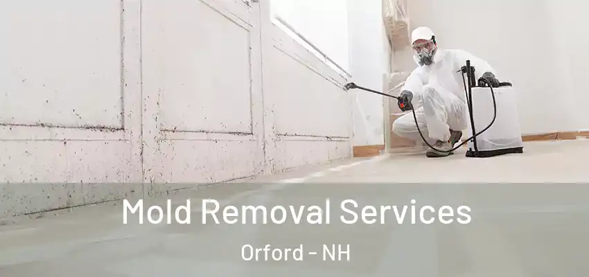  Mold Removal Services Orford - NH