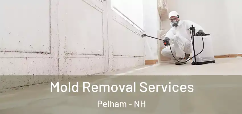  Mold Removal Services Pelham - NH