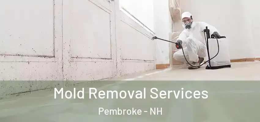  Mold Removal Services Pembroke - NH