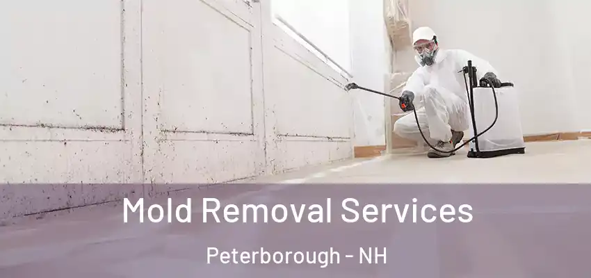Mold Removal Services Peterborough - NH
