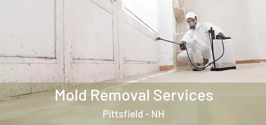  Mold Removal Services Pittsfield - NH