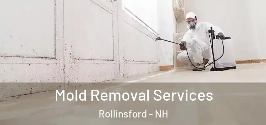  Mold Removal Services Rollinsford - NH