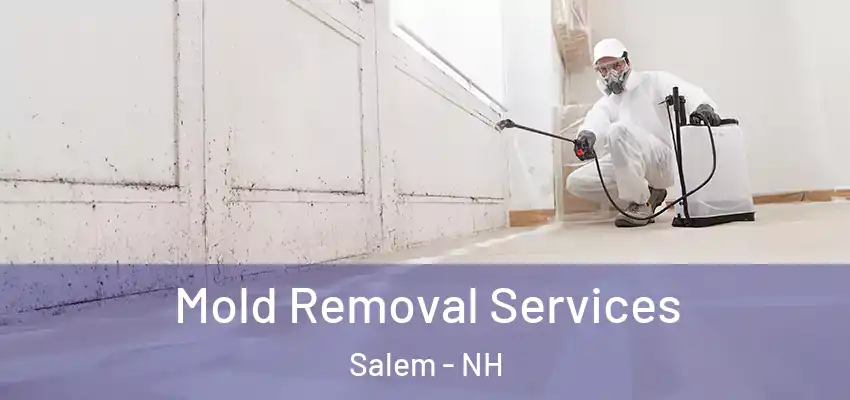 Mold Removal Services Salem - NH