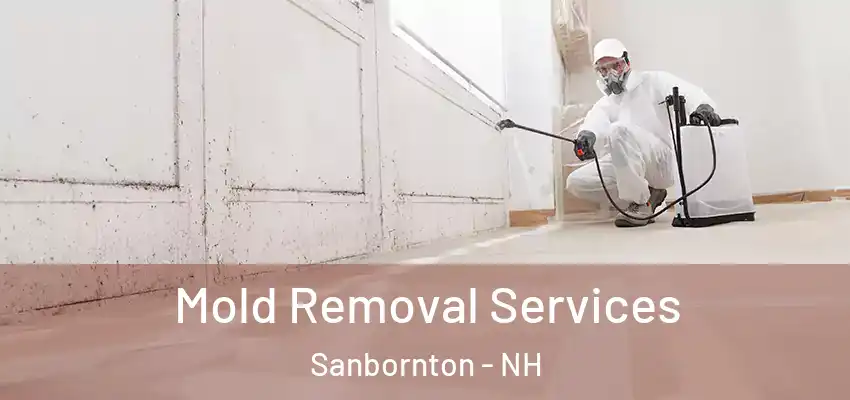  Mold Removal Services Sanbornton - NH