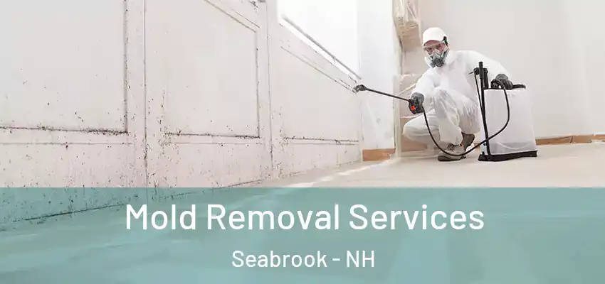  Mold Removal Services Seabrook - NH