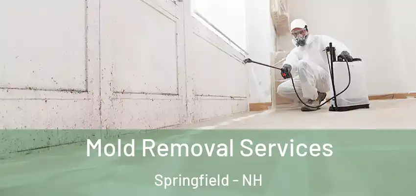  Mold Removal Services Springfield - NH