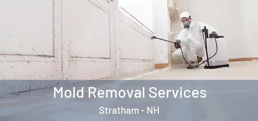  Mold Removal Services Stratham - NH