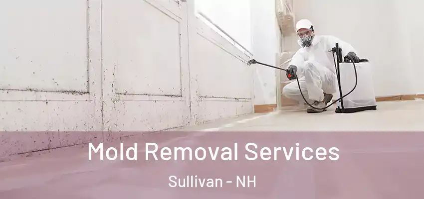  Mold Removal Services Sullivan - NH