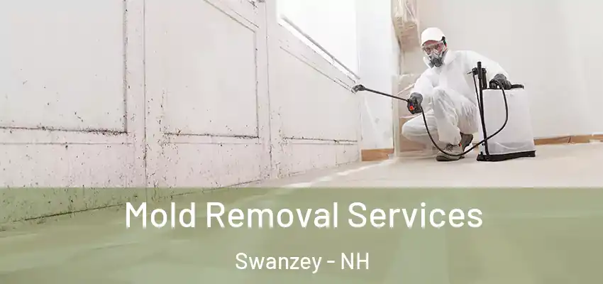  Mold Removal Services Swanzey - NH