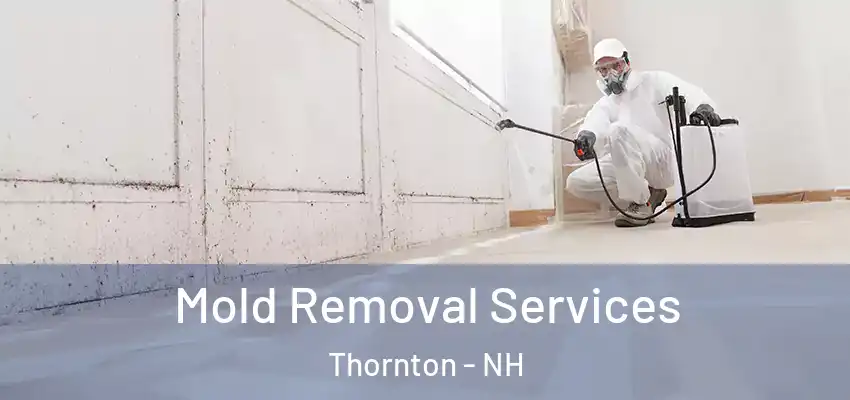  Mold Removal Services Thornton - NH