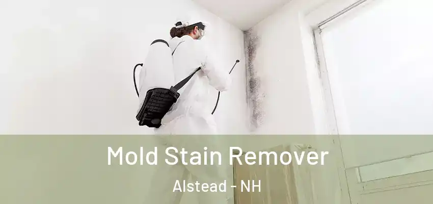  Mold Stain Remover Alstead - NH