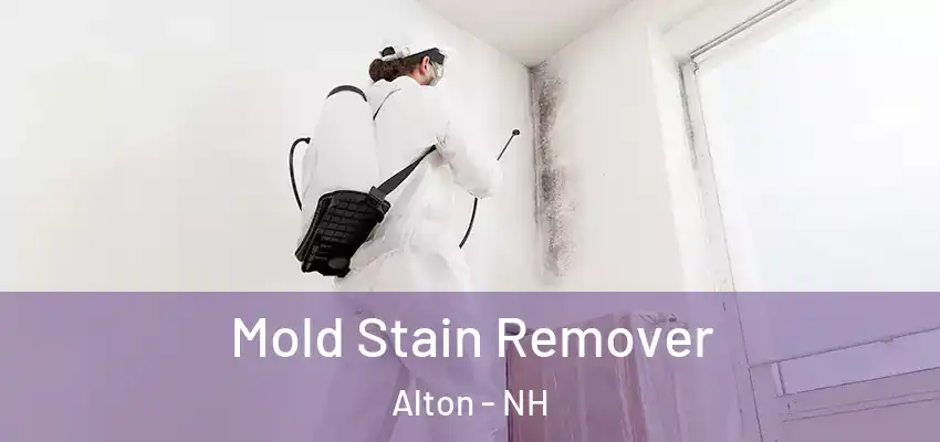  Mold Stain Remover Alton - NH