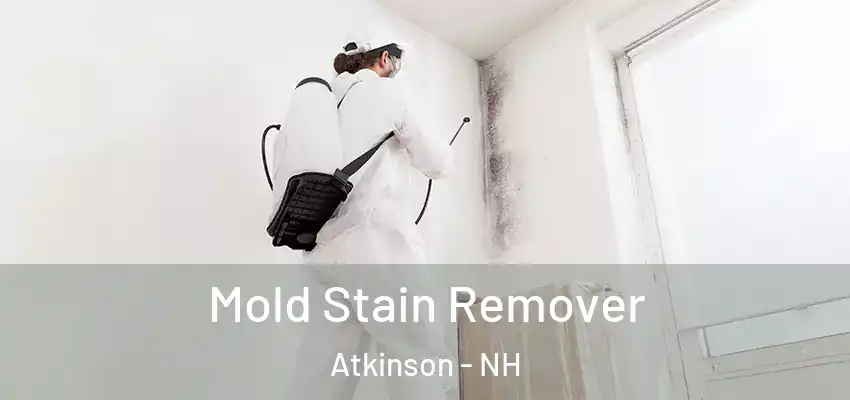 Mold Stain Remover Atkinson - NH