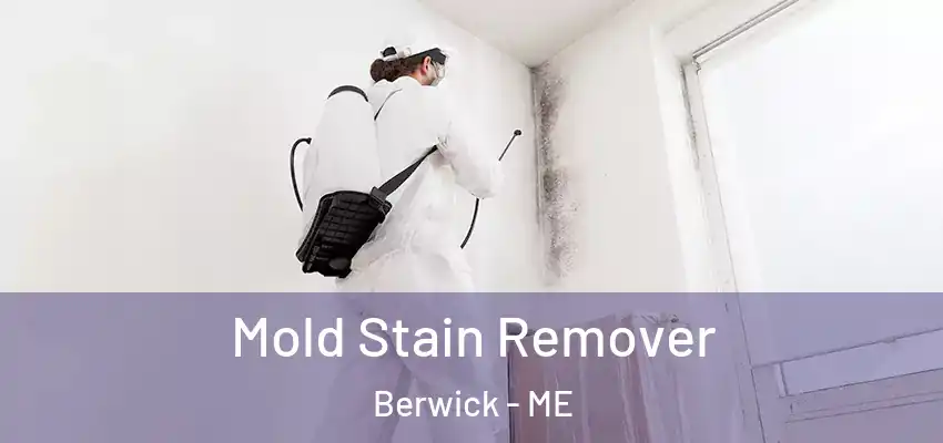  Mold Stain Remover Berwick - ME