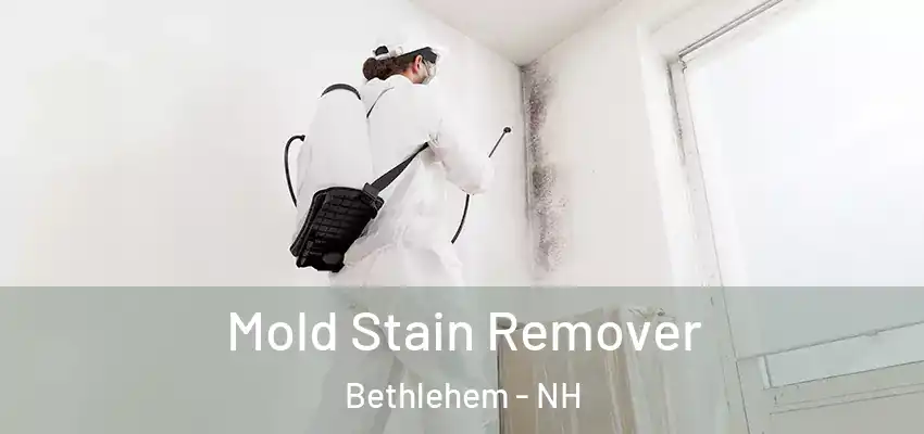  Mold Stain Remover Bethlehem - NH