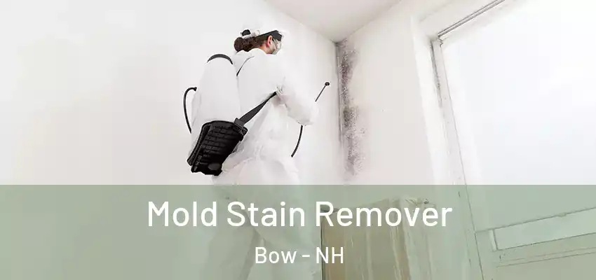  Mold Stain Remover Bow - NH
