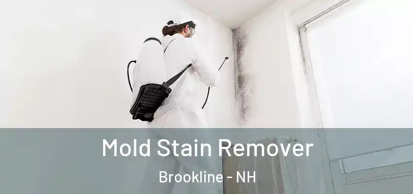  Mold Stain Remover Brookline - NH