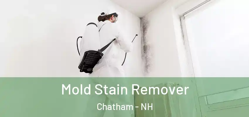  Mold Stain Remover Chatham - NH