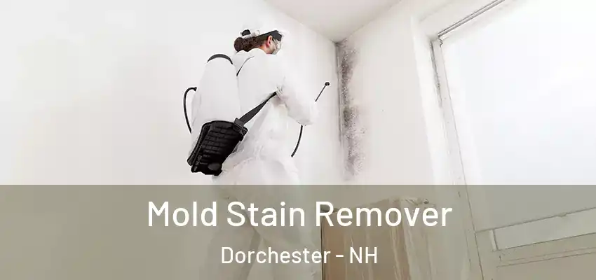  Mold Stain Remover Dorchester - NH