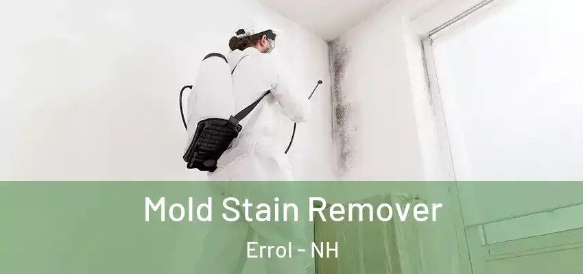  Mold Stain Remover Errol - NH