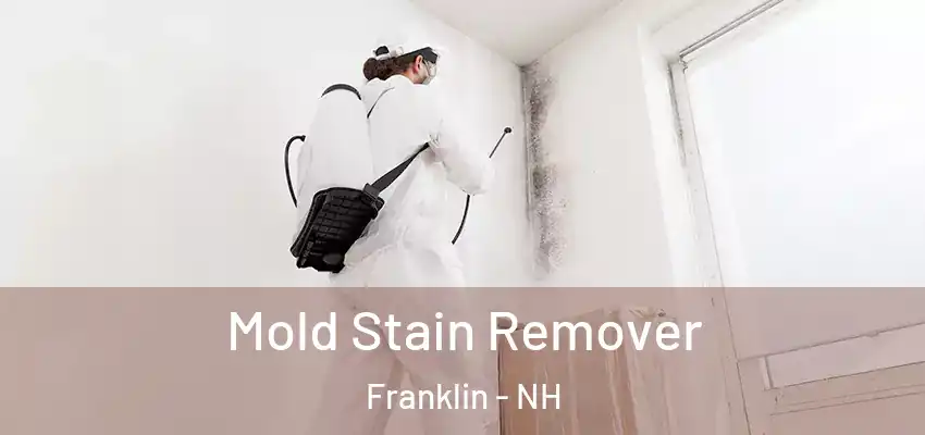  Mold Stain Remover Franklin - NH