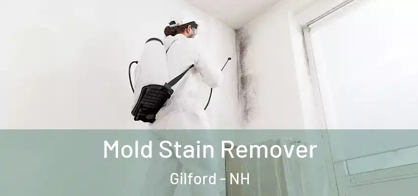  Mold Stain Remover Gilford - NH