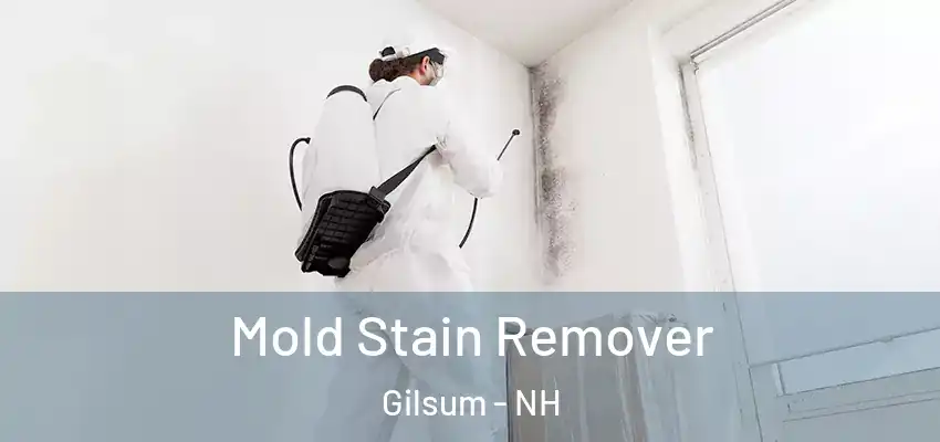  Mold Stain Remover Gilsum - NH