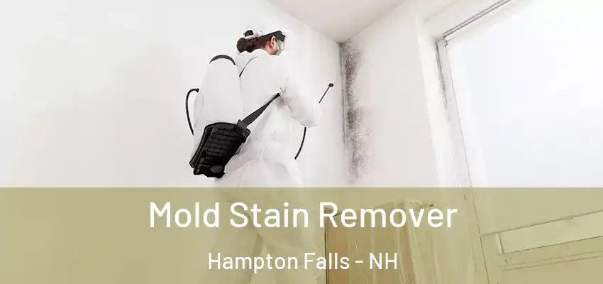  Mold Stain Remover Hampton Falls - NH