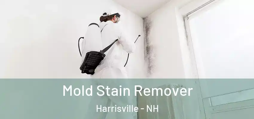  Mold Stain Remover Harrisville - NH