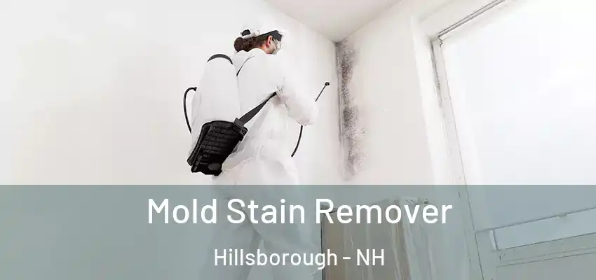  Mold Stain Remover Hillsborough - NH