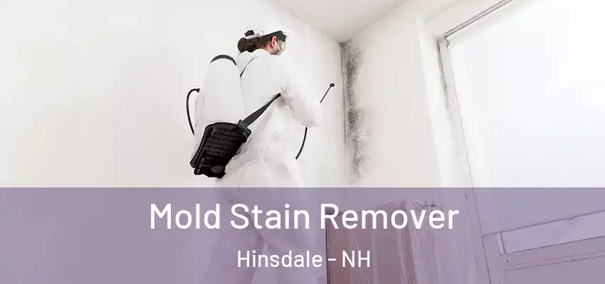  Mold Stain Remover Hinsdale - NH