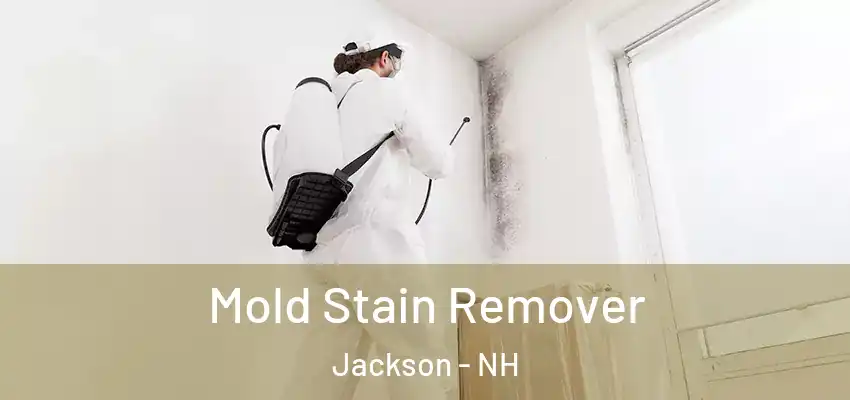  Mold Stain Remover Jackson - NH