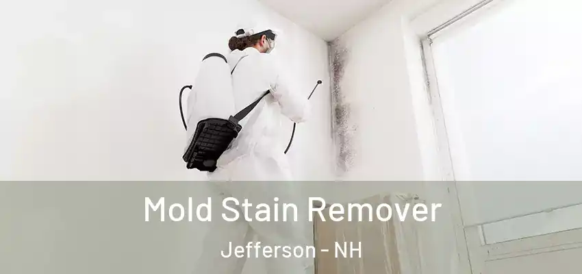  Mold Stain Remover Jefferson - NH