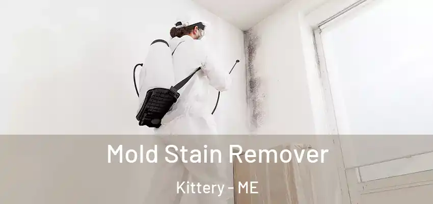 Mold Stain Remover Kittery - ME